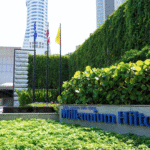 A New Home for ImagineHealth — And the Next Level of Longevity in Thailand